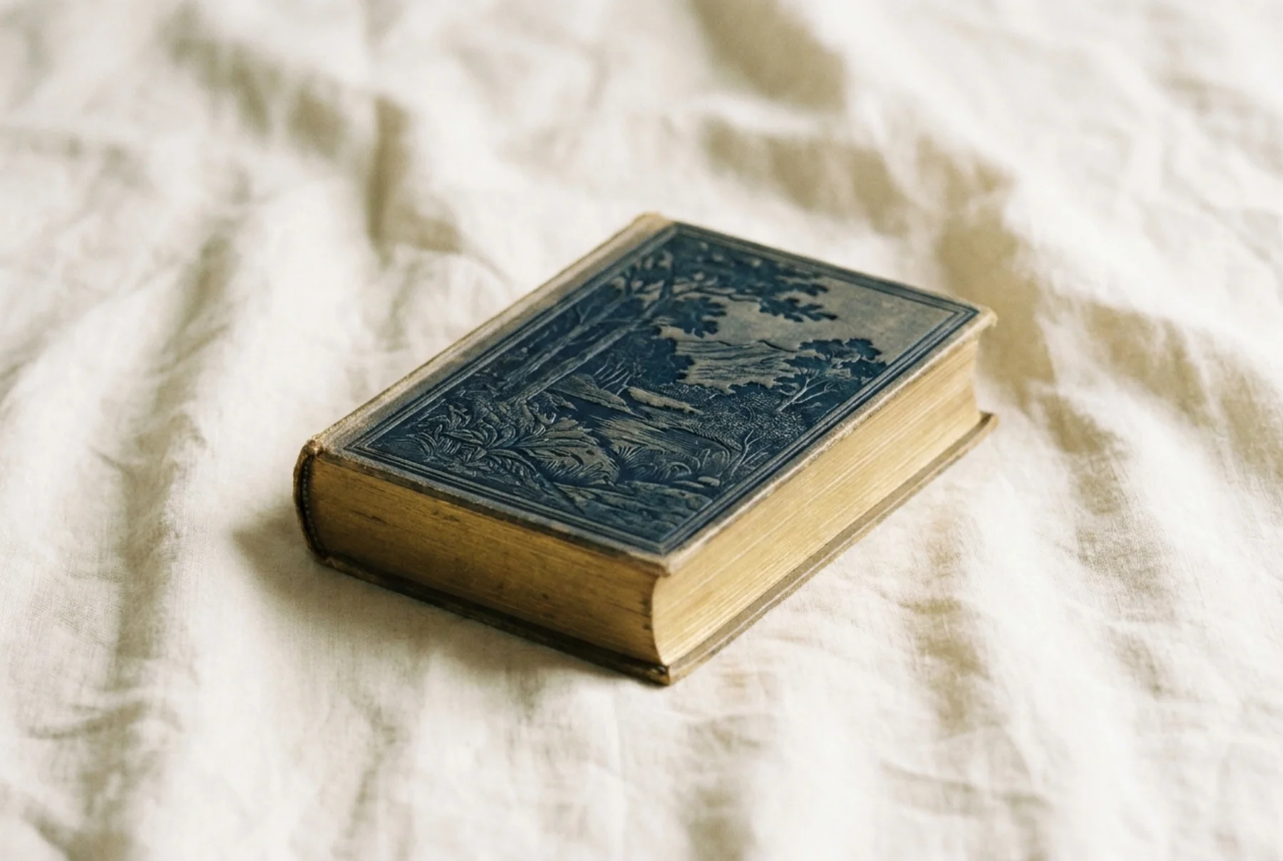 A single sundayfawn hardcover storybook resting in its cream slipcase on a quiet wooden desk, foil-stamped cover catching low afternoon light.