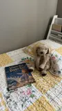 A personalized Where Did Peppa Go? storybook beside its stuffed animal inspiration.