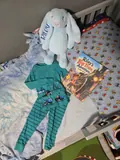 Riley’s personalized train storybook beside his matching train pajamas and stuffed bunny.